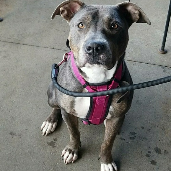 Meet your Posher, Kelli - Picture 7 of 8